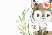 Wild Cats. Watercolor Collection, an Animal Illustration by StarJam (Thumbnail 5 of 5)