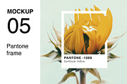 Pantone Colour Mockup Bundle, a Wearable Device Mockup by Tropical Type (Thumbnail 10 of 11)