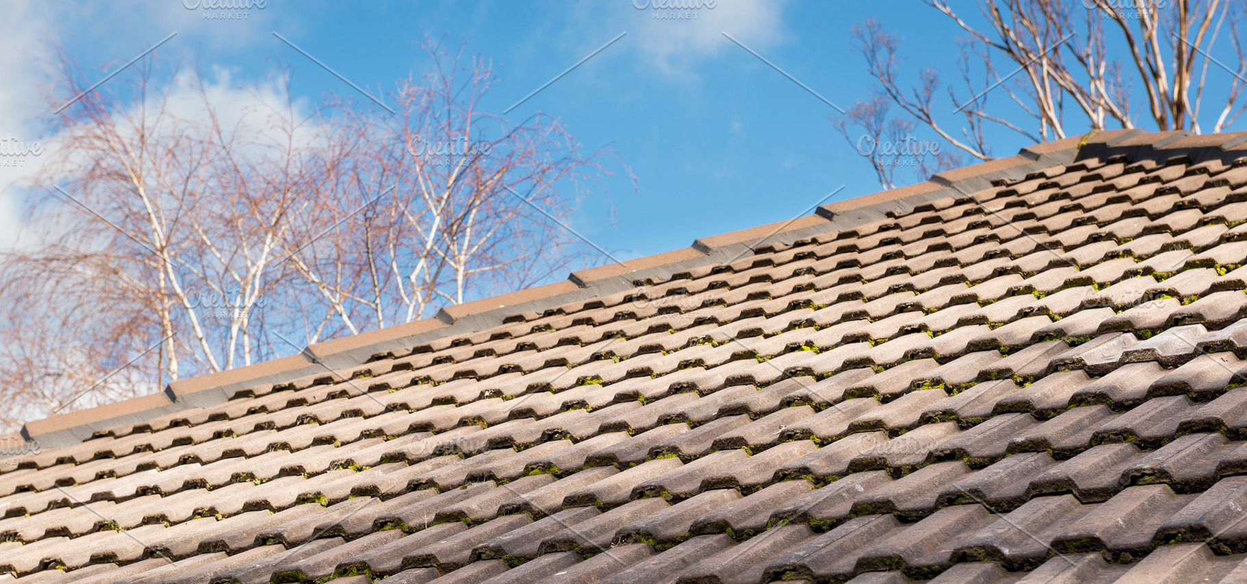 Old Roof Tiles, an Architecture Photo by THP Creative