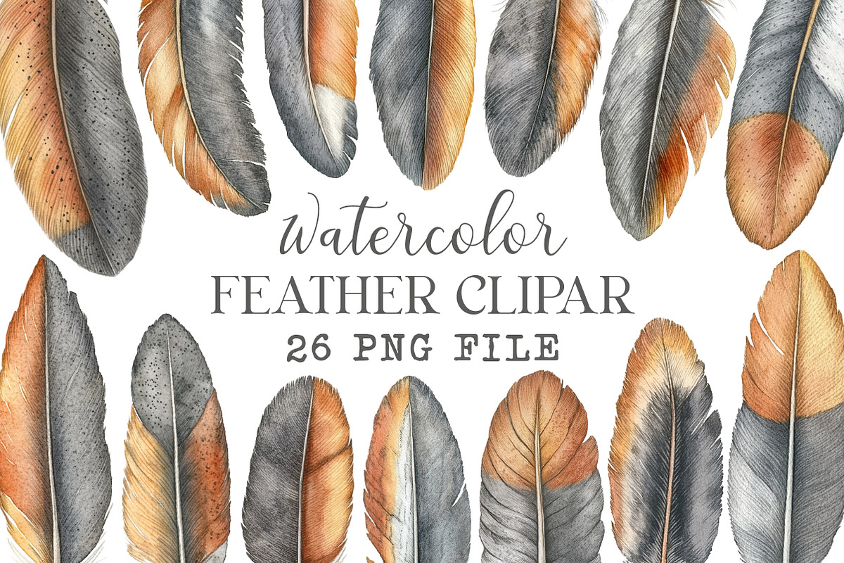Feather Watercolor Clipart, an Illustration by Libby Wishes (Photo 1 of 7)