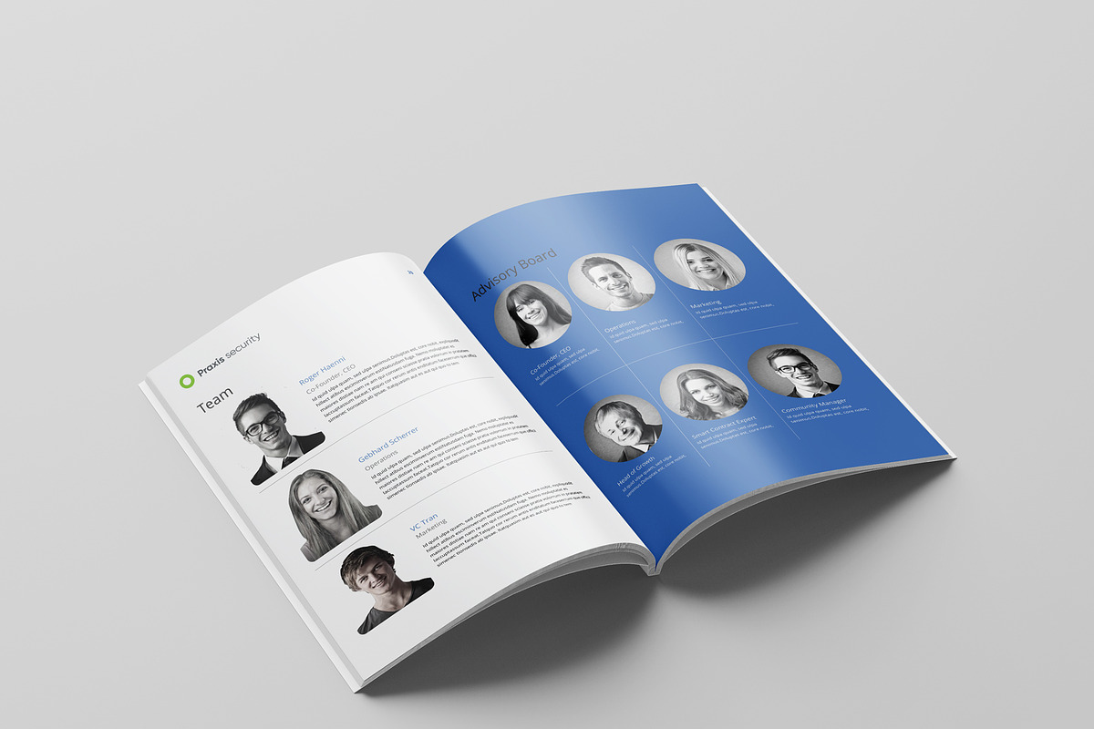 White Paper Template, a Brochure Template by azadcsstune (Photo 8 of 13)