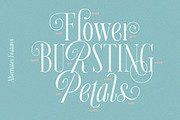 Aurora Moonlight Dreamy Serif, a Serif Font by Letterhend Studio (Thumbnail 6 of 12)