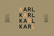 Karl – Cool Sans w Unique Alternates, a Sans Serif Font by Local Desk Designstudio (Thumbnail 2 of 28)