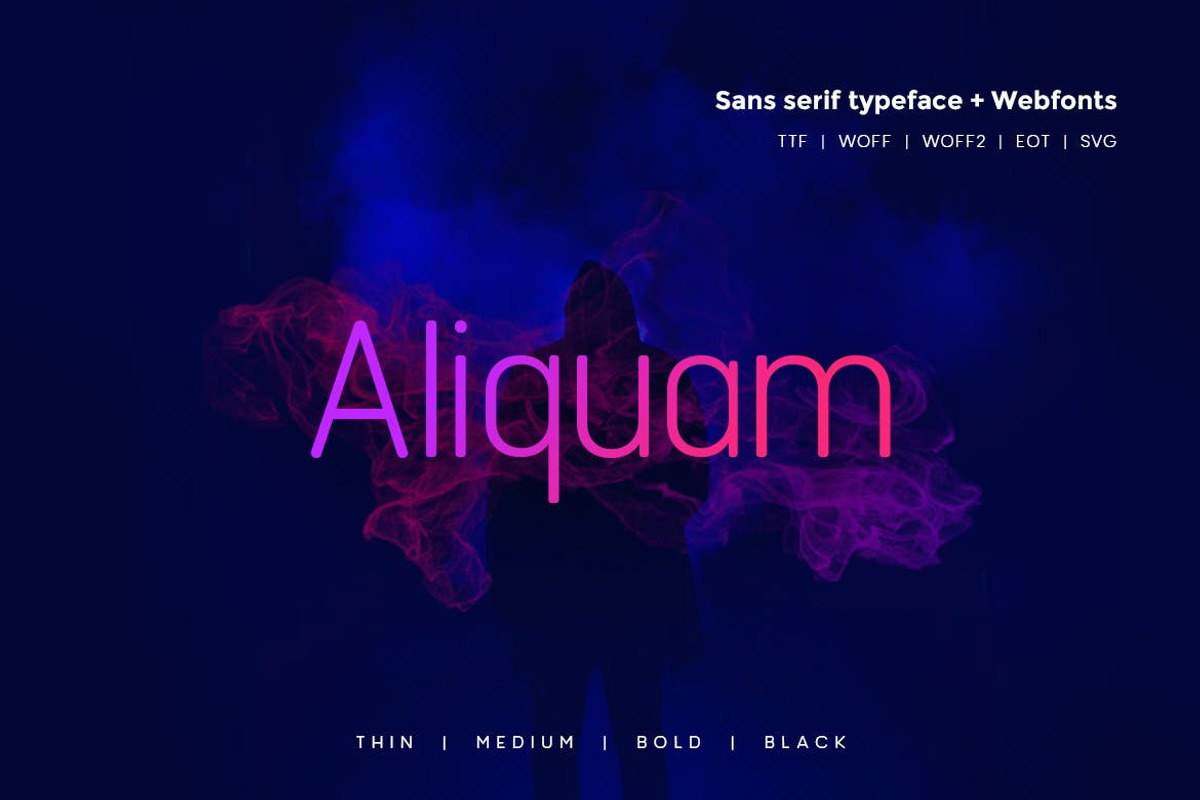 Aliquam - Modern Typeface + WebFonts, a Sans Serif Font by Webhance Studio
