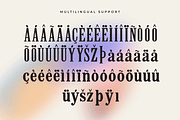 Excommune – Modern Serif Font, a Serif Font by overlaytemplates (Thumbnail 5 of 5)