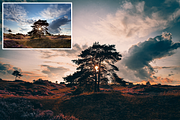 Cinematic - 500 Lightroom Presets, an Action Add-On by LUXDesignStudios (Thumbnail 7 of 14)
