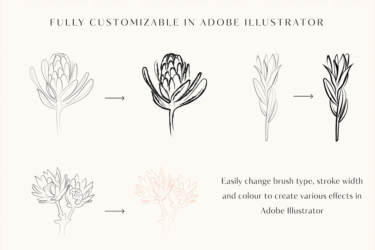 Line Art Floral Graphic Elements, a Decorative Illustration by CL Creative Studio (Photo 11 of 11)