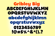 Sale! Gribley Font Family!, a Sans Serif Font by Haäfe & Haph (Thumbnail 3 of 5)