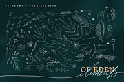 Of Eden | Floral Elements, a Seasonal Illustration by Heart + Soul Studios (Thumbnail 7 of 8)