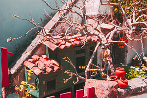 Colorful gate in rustic village yard, an Architecture Photo by SkyNext