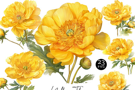 Watercolor Yellow Flower Clipart, an Object Illustration by Design Scotch