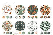 Ultimate Flower & Leaf Collection, an Object Graphic by Pretty Little Lines (Thumbnail 16 of 47)