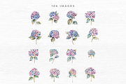 Hydrangea Clipart, Floral Clipart,, an Object Graphic by EllyandLima (Thumbnail 6 of 9)