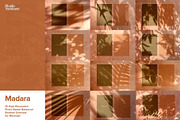 Madara - Botanical Shadow Overlays, a Texture Graphic by Studio Yorktown (Thumbnail 2 of 17)