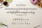 Flitte Script, a Script Font by Olexstudio (Thumbnail 5 of 5)