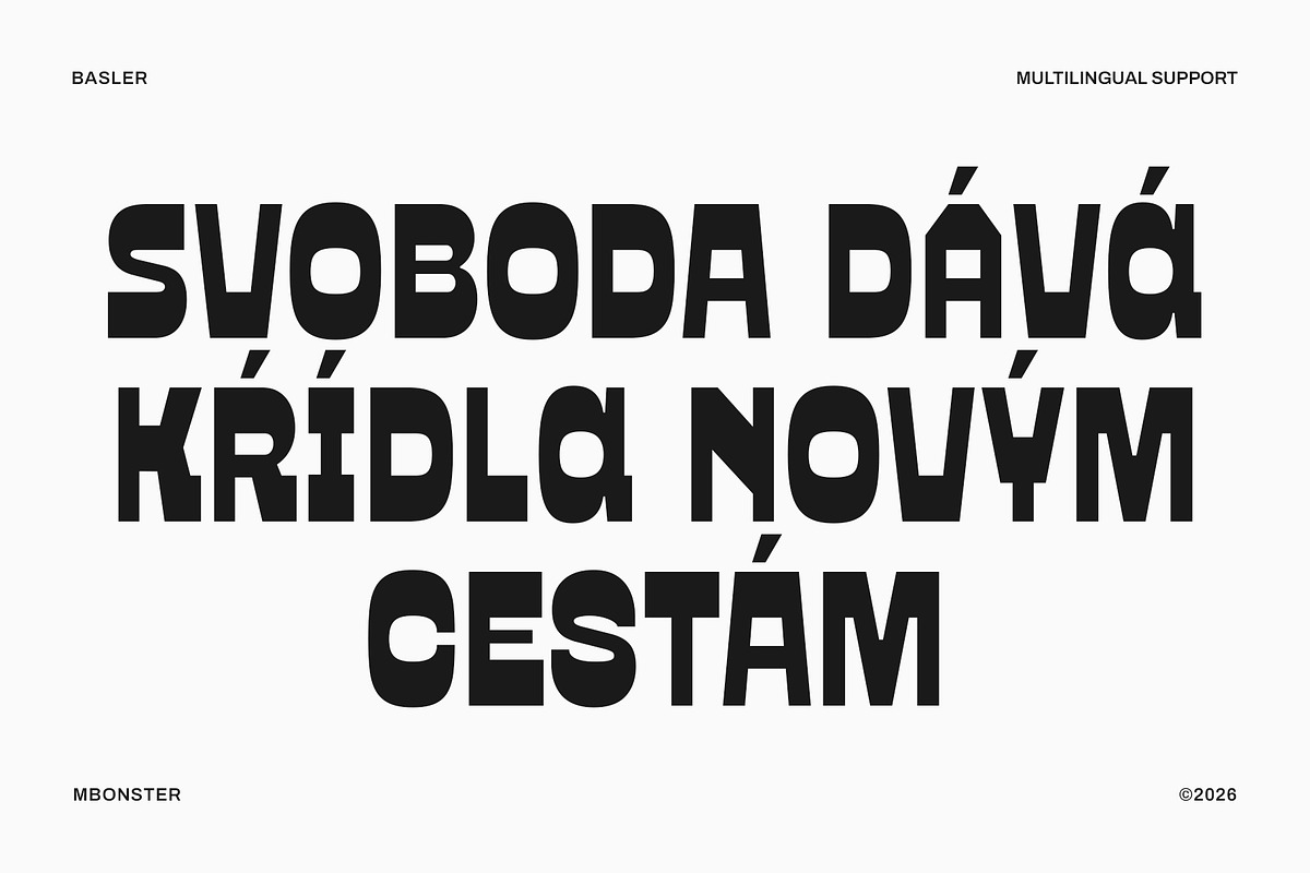 Basler - Reverse Contrast Sans, a Sans Serif Font by Mbonster Design Studio (Photo 12 of 15)