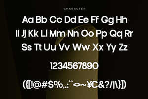 Francy Modern Sans Display Font