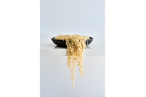Cooked instant noodles overflow and, a Food & Drink Photo by Gladkov photography