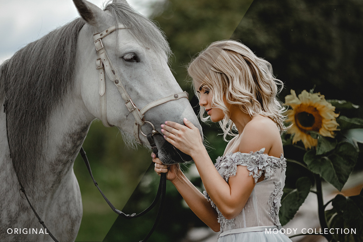 MOODY PHOTOSHOP ACTIONS ACR PRESETS, an Action Add-On by BeArt-Presets (Photo 3 of 15)