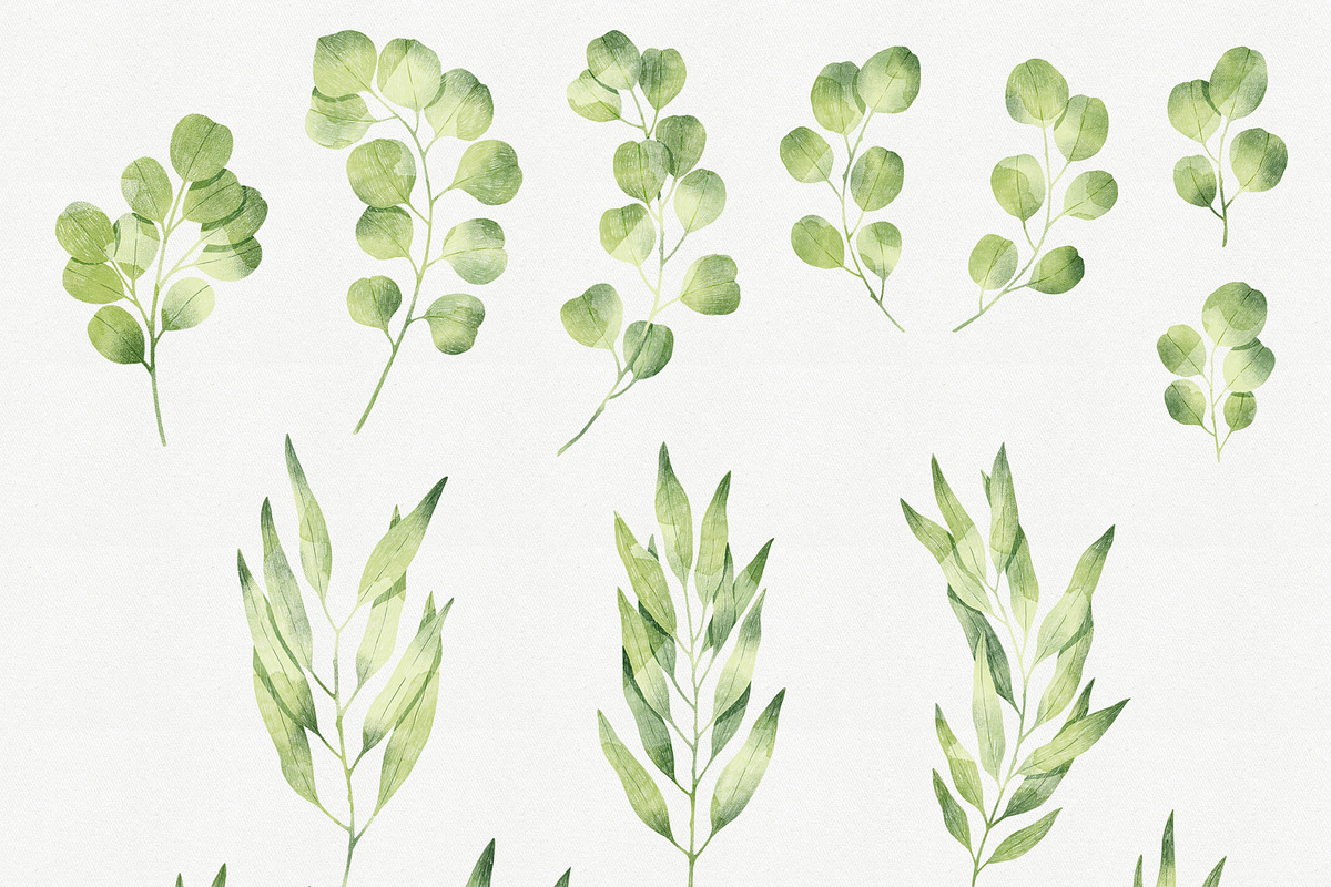 Eucalyptus Branches Collection, an Illustration by Helga Wigandt (Photo 2 of 5)