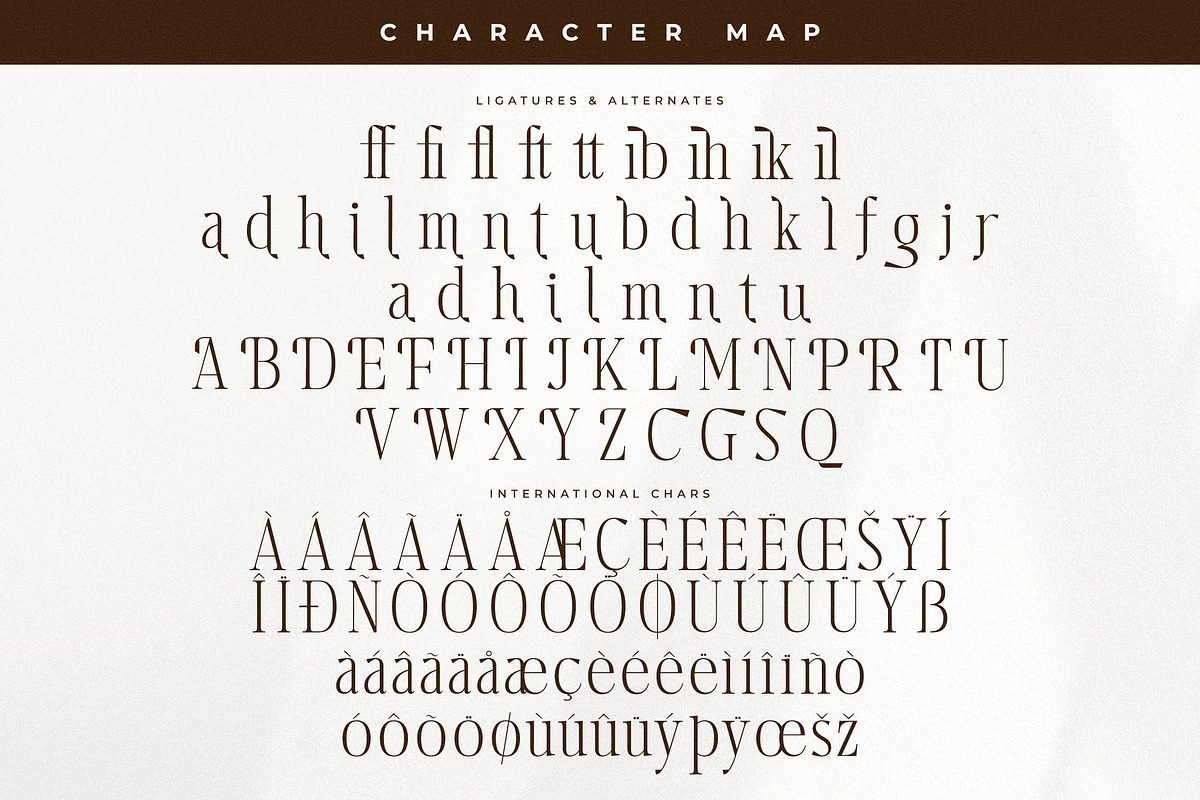 Harfterd Modern Serif Font, a Serif Font by Letterena Studios (Photo 14 of 15)