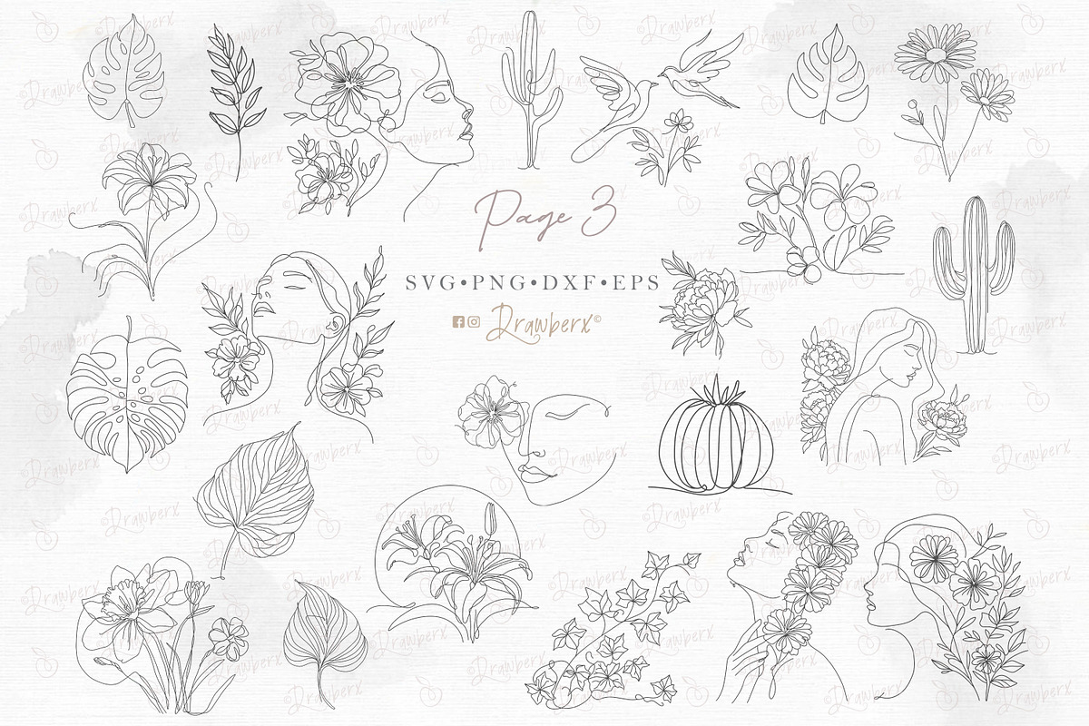 Floral Line Art illustration svg 150, an Illustration by Drawberx (Photo 9 of 13)