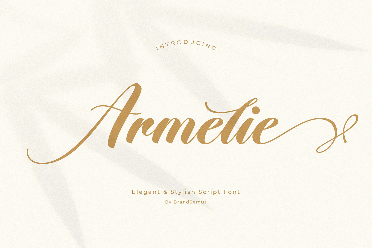 Armelie – Elegant & Stylish Script, a Script Font by BrandSemut (Photo 1 of 10)