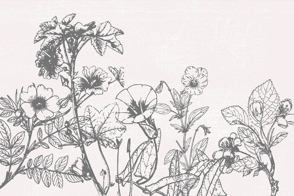 Dried Flowers, Petals, Shoots, an Illustration by TheBlackPixelCo (Photo 7 of 8)