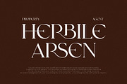 CHOASE Modern Ligature Serif, a Serif Font by Alfinart (Thumbnail 2 of 9)