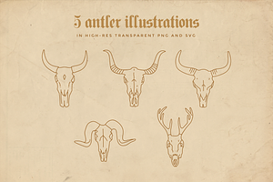 Animal Linear Logo Illustrations