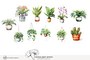 100 watercolor house plants clip art, a Seasonal Illustration by Poppy Lane Studio (Thumbnail 11 of 12)