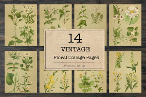 Vintage Field Plants