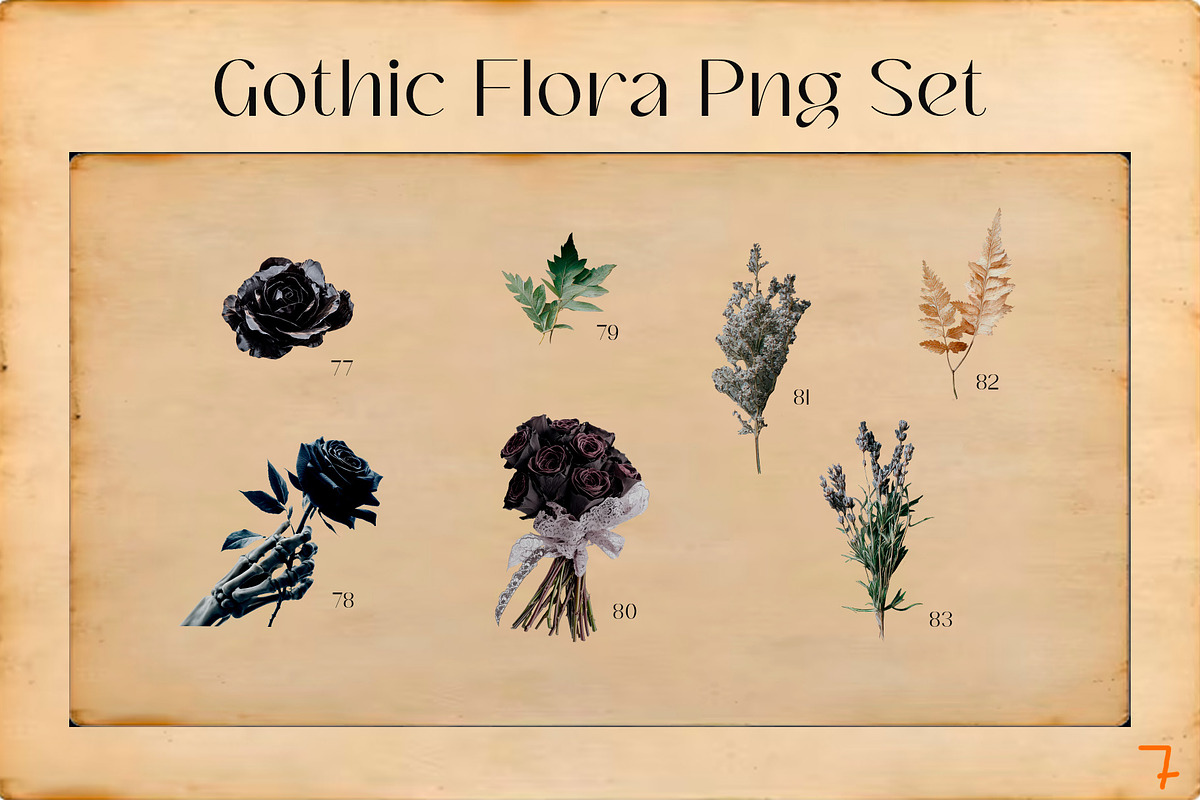 Gothic Dark Academia PNG Collection, an Object Graphic by ViktoriaLapshyna (Photo 10 of 15)