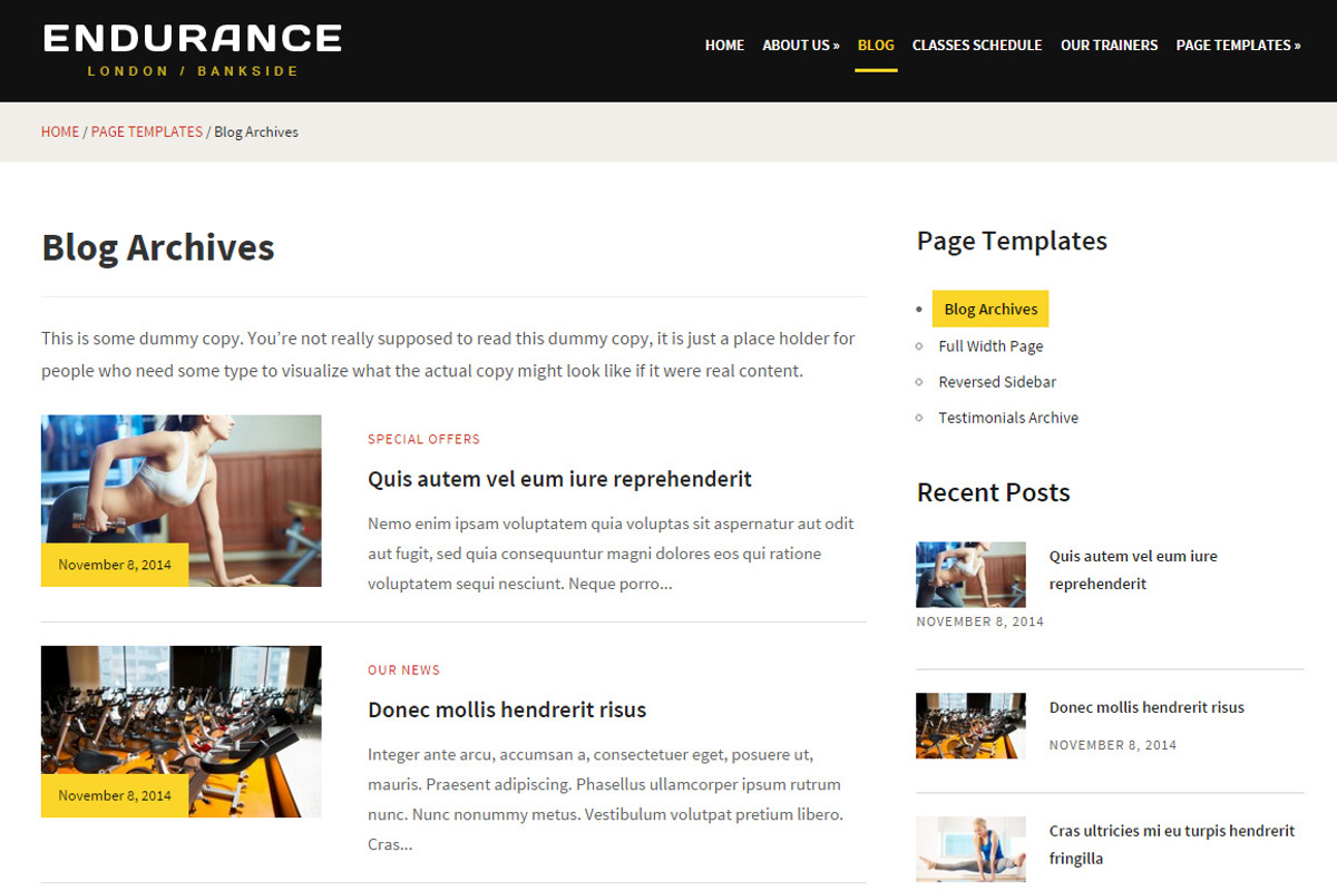 Endurance Fitness Theme, a WordPress Template by EnergyThemes (Photo 4 of 4)