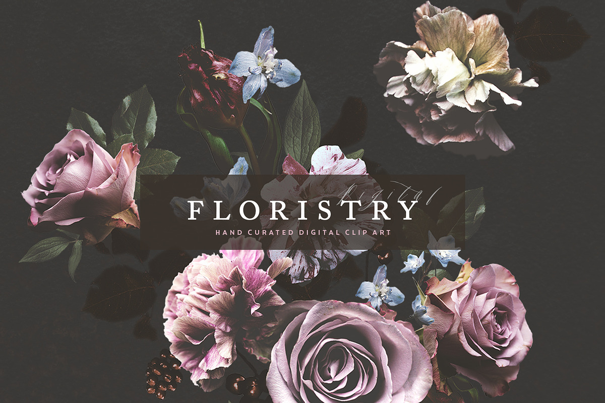 Digital Floristry - Floral Portraits, an Illustration by Create The Cut (Photo 1 of 10)