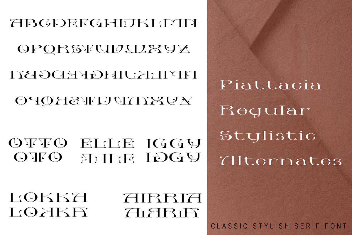 Piattacia font family, a Serif Font by greatypes studio (Photo 5 of 15)