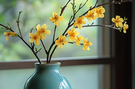 Yellow blossoms in a decorative vase, a Photo by Beautiful things