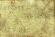 36 ECO Dyed paper - Forest Floor, a Texture Graphic by LianaScrap (Thumbnail 17 of 19)