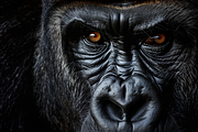 Animals Pack Over 100 UltraHD images, an Animal Photo by Pixels.Craft (Thumbnail 7 of 8)