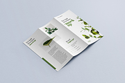 Trifold Brochure Mockup, an Advertising Mockup by Hubzway (Thumbnail 2 of 2)