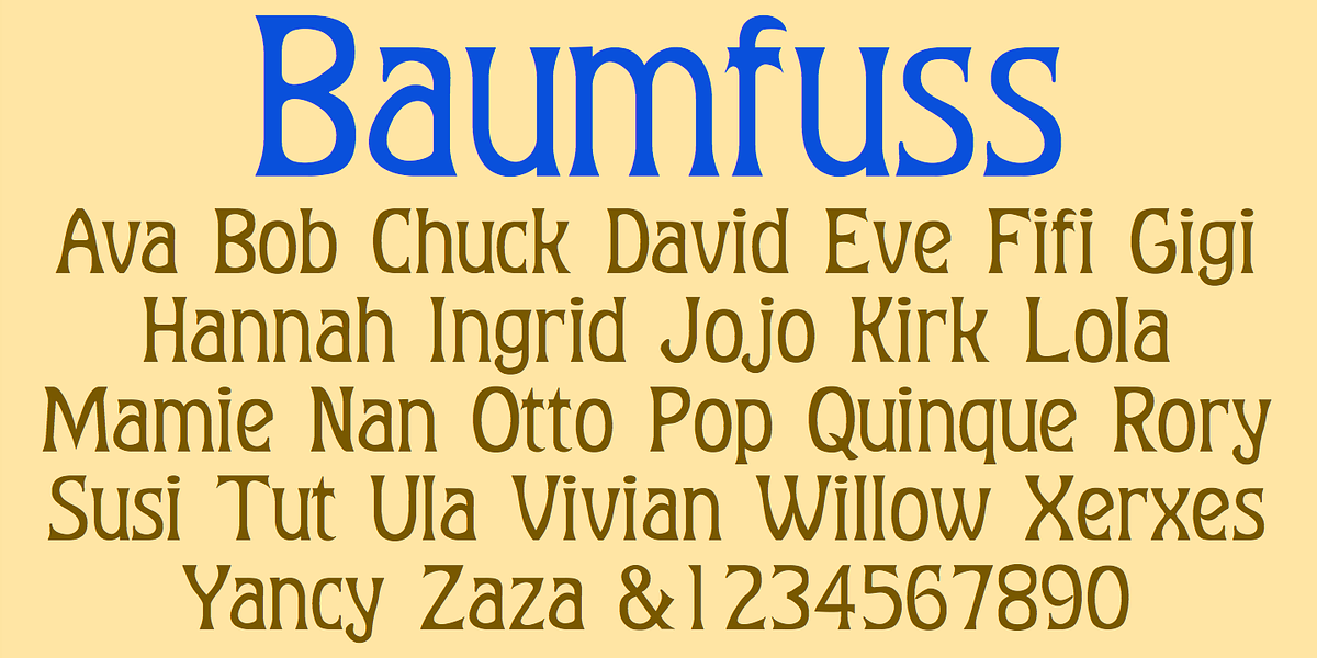 Baumfuss, a Serif Font by Ingrimayne Type (Photo 1 of 7)