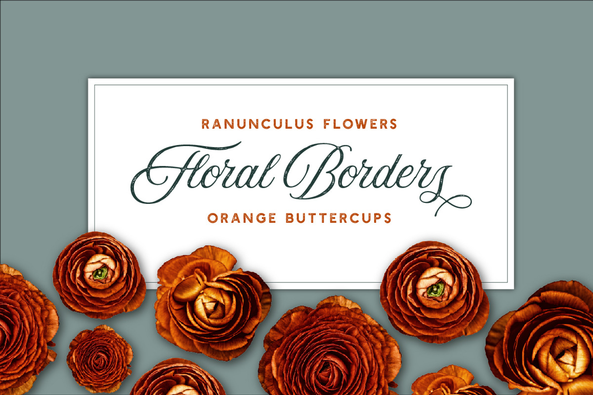 Ranunculus Borders & Autumn ClipArt, an Object Graphic by Turning Moss (Photo 2 of 6)