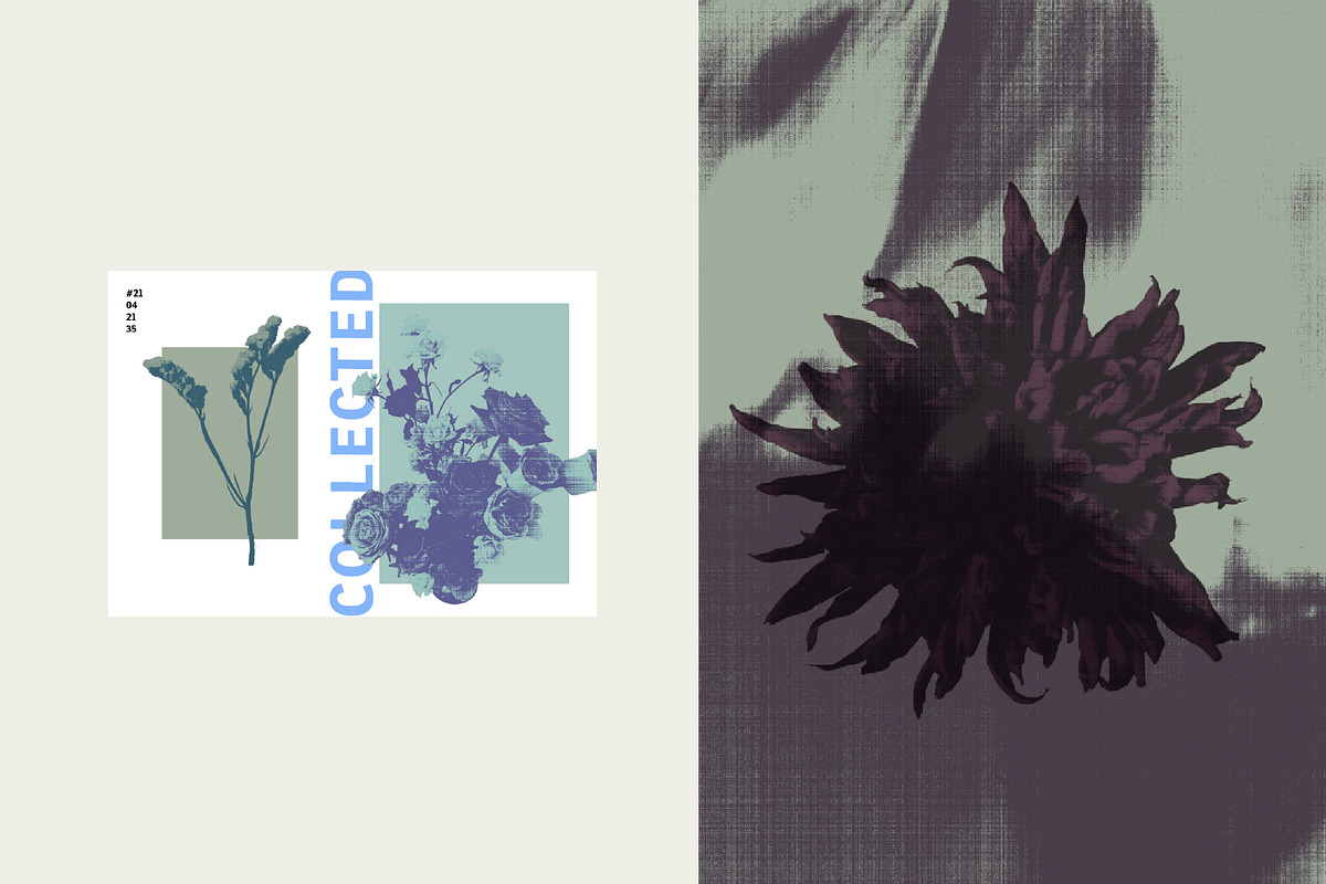 Printed Botanical Graphics, an Object Graphic by Neatly Made Studio (Photo 4 of 17)