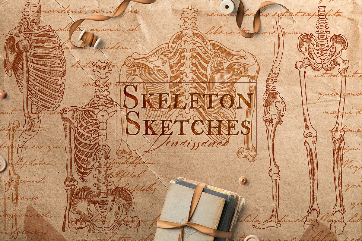 DA VINCI RENAISSANCE SKETCHES, an Object Illustration by Luna Dreams (Photo 5 of 16)