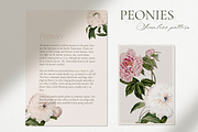 PEONIES Seamless Pattern, a Pattern Graphic by Splash! (Thumbnail 7 of 10)