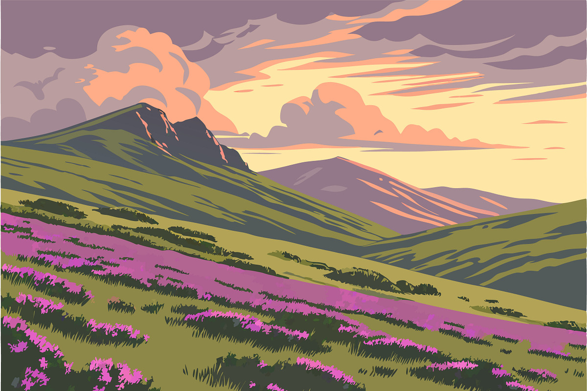Rolling green hills purple heather, a Seasonal Illustration by SouravDesign (Photo 3 of 3)
