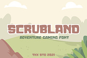 SCRUBLAND - Gaming Font, a Serif Font by tokokoo (Thumbnail 2 of 12)