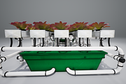 Hydroponics system LG, an Environmental 3D Model by AndrewWhite (Thumbnail 12 of 17)