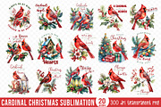 Cardinal Christmas PNG Bundle, a Graphic by CraftlabSVG (Thumbnail 1 of 15)