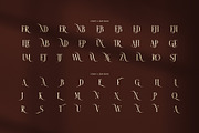 Zarova Luxury Serif Font, a Serif Font by Perfectype (Thumbnail 8 of 8)
